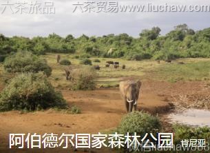 ������-�����¶�����ɭ�ֹ�԰