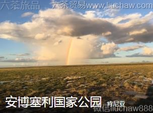 ������-�����������ҹ�԰