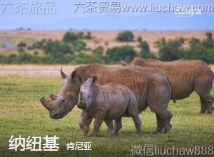 ������-��Ŧ��