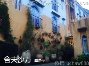 摩洛哥-舍夫沙万