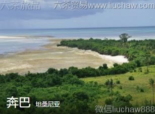 ̹ɣ����-����