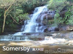 澳大利亚-Somersby