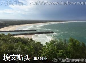 澳大利亚-埃文斯头