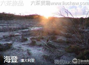 澳大利亚-大洋洲