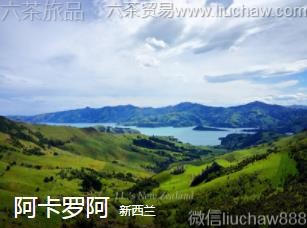 ������-�����ް�