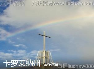 �������-����������