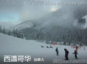 加拿大-西温哥华