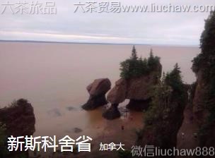 加拿大-新斯科舍省