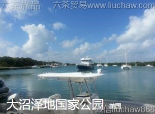 美国-大沼泽地国家公园