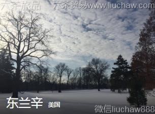 ����-������