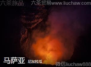 �������-������