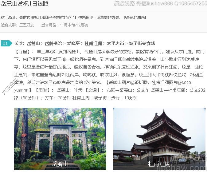 岳麓山赏枫1日线路---售价10元