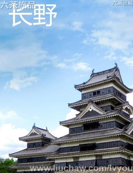 ��Ұ���ι���---��20Ԫ