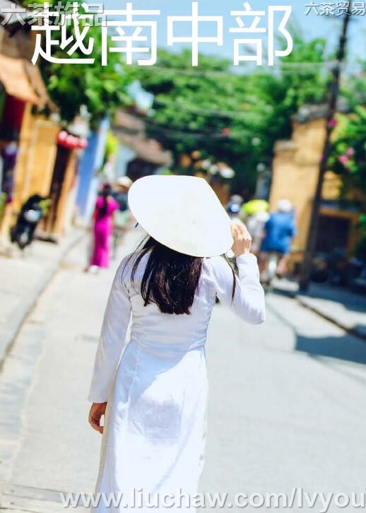 Խ���в����ι���---��20Ԫ