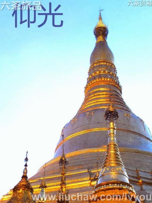 �������ι���---��20Ԫ