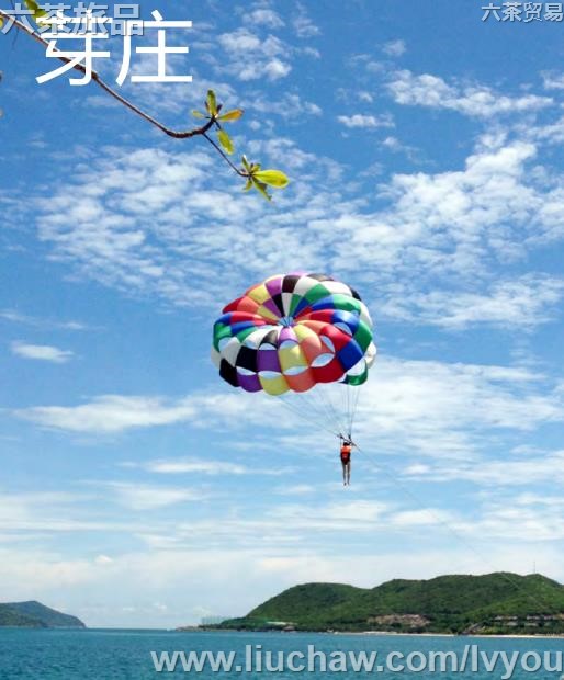 ѿׯ���ι���---��20Ԫ