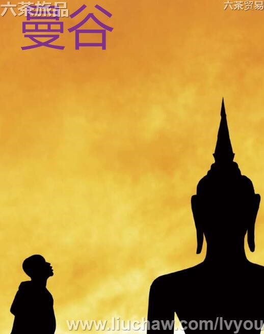 �������ι���---��20Ԫ