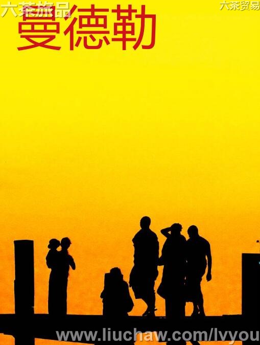 ���������ι���---��20Ԫ