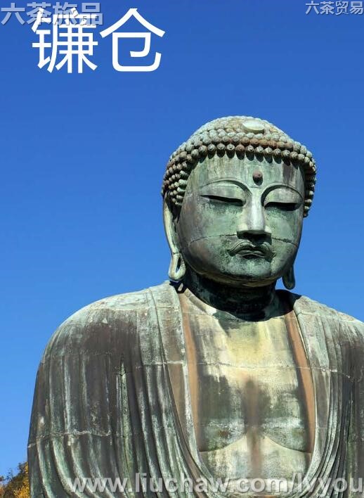 �������ι���---��20Ԫ