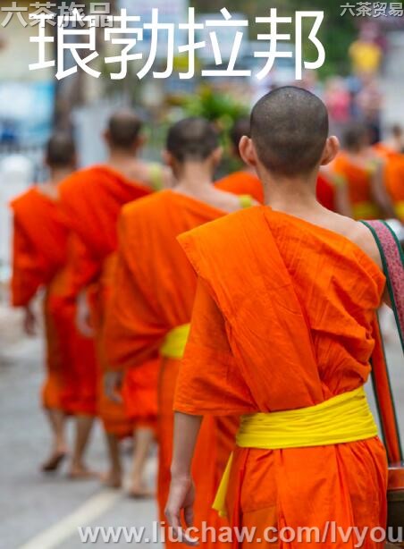 �Ų��������ι���---��20Ԫ