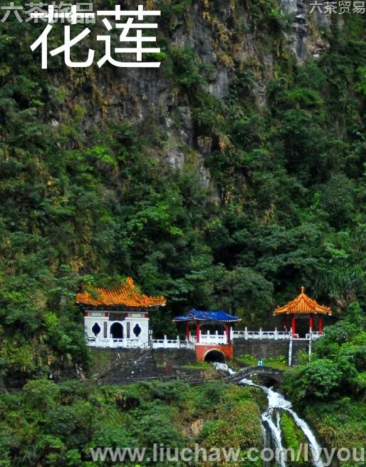 �������ι���---��20Ԫ