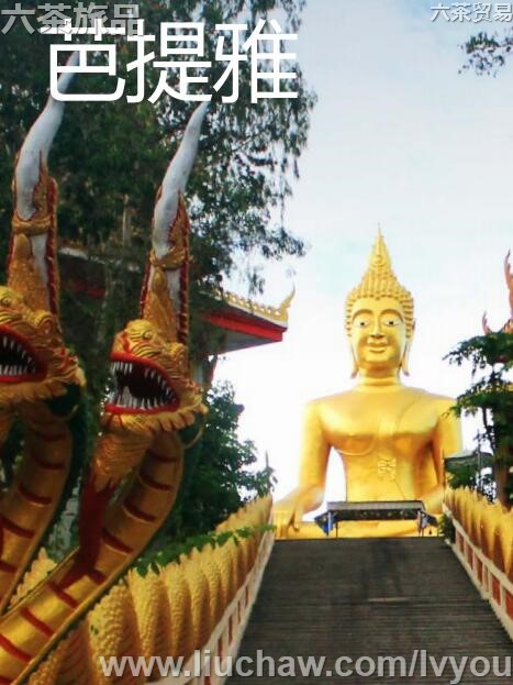 芭提雅旅游攻略---售20元