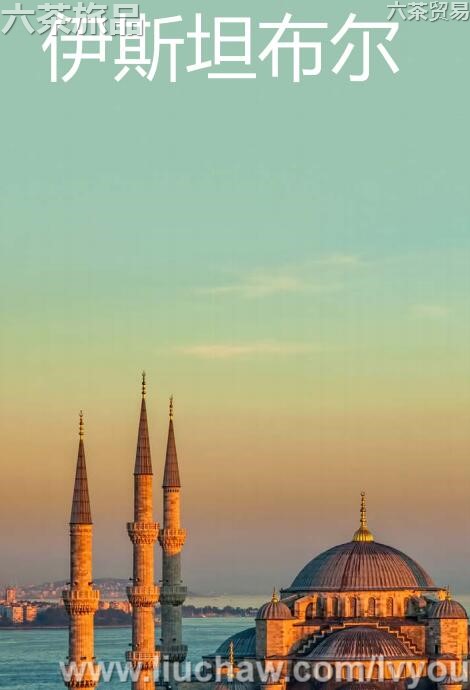 ��˹̹�������ι���---��20Ԫ