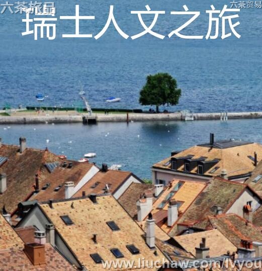 ��ʿ����֮�����ι���---��20Ԫ