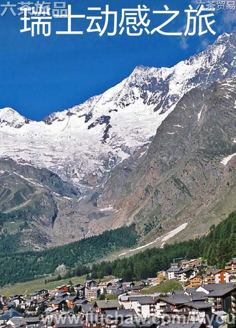 ��ʿ����֮�����ι���---��20Ԫ