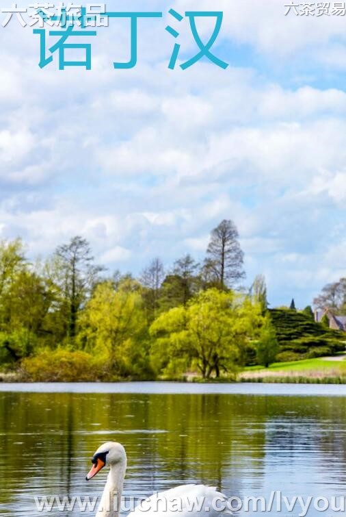 ŵ�������ι���---��20Ԫ