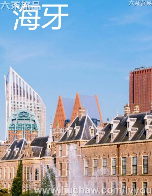 海牙旅游攻略---售20元