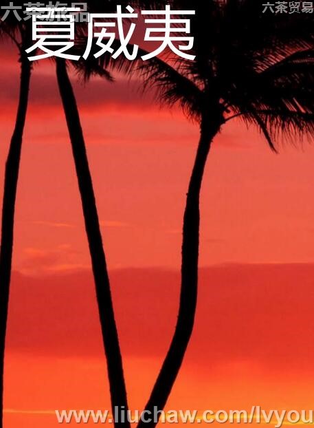 夏威夷旅游攻略---售20元