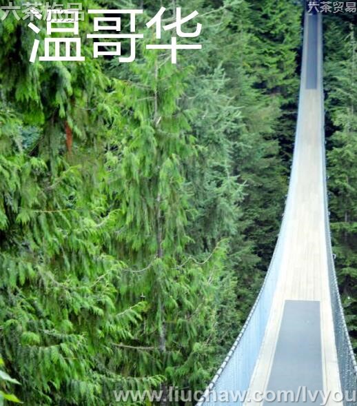 温哥华旅游攻略---售20元