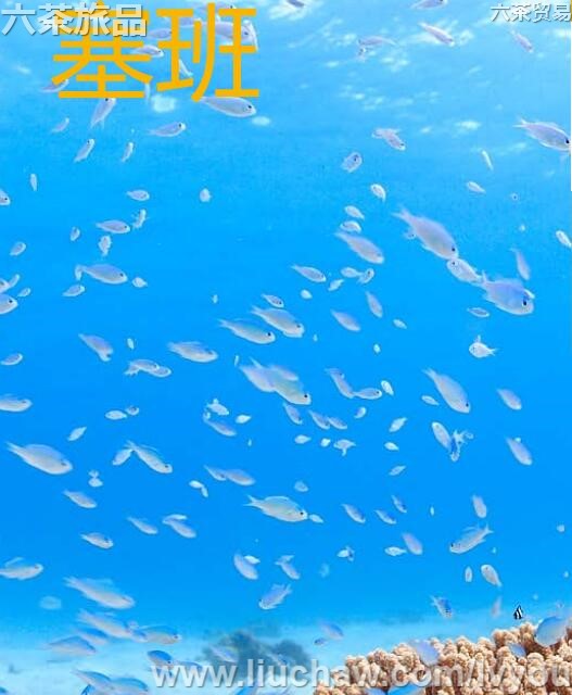 塞班旅游攻略---售20元