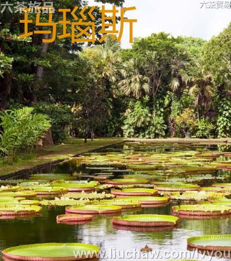 玛瑙斯旅游攻略---售20元