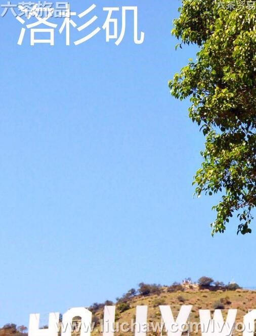 ��ɼ�����ι���---��20Ԫ