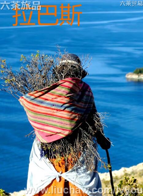 ����˹���ι���---��20Ԫ