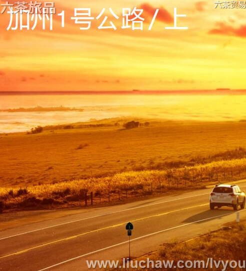 ����1�Ź�·���ϣ����ι���---��20Ԫ