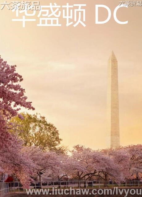 ��ʢ��DC���ι���---��20Ԫ