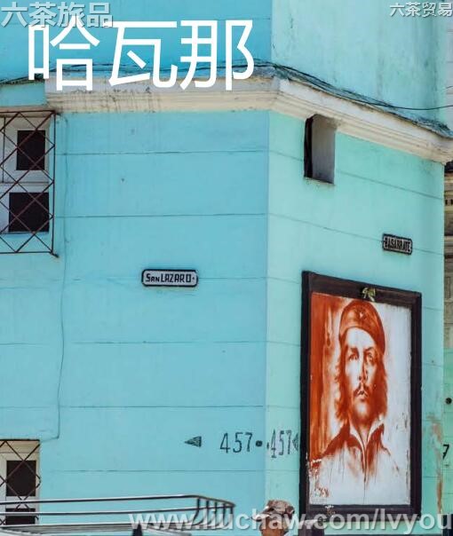 ���������ι���---��20Ԫ