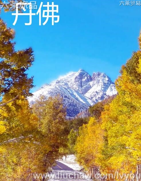 丹佛旅游攻略---售20元