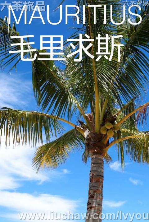 ë����˹���ι���---��20Ԫ