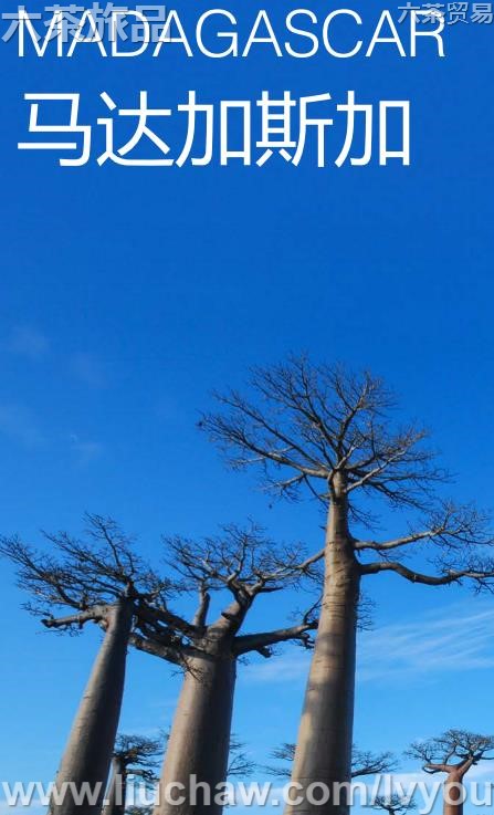 �����˹�����ι���---��20Ԫ