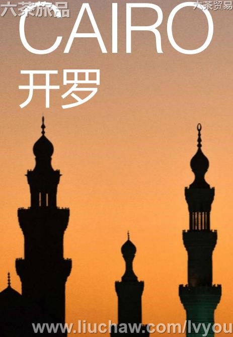 �������ι���---��20Ԫ