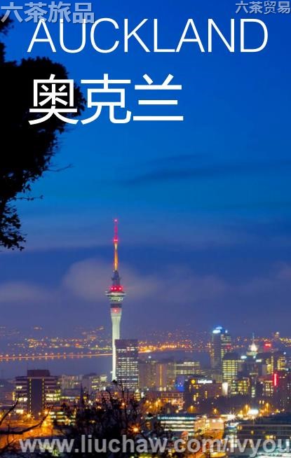 �¿������ι���---��20Ԫ