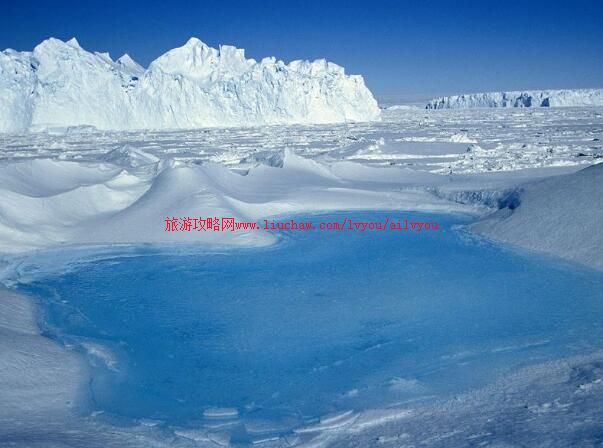 ailvyou113������ʡ-���������ι��� ��20Ԫ