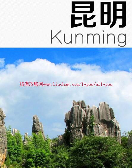 ailvyou103����ʡ-�������ι��� ��20Ԫ