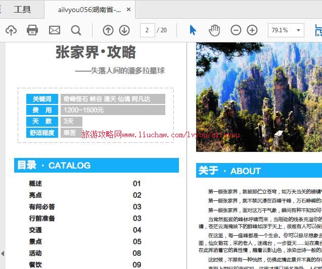 ailvyou056����ʡ-�żҽ����ι��� ��20Ԫ