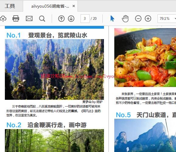 ailvyou056����ʡ-�żҽ����ι��� ��20Ԫ