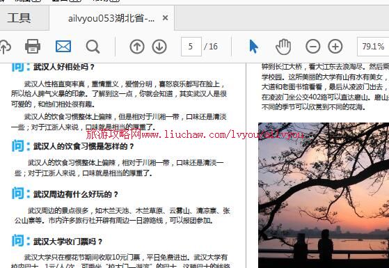 ailvyou053����ʡ-�人���ι��� ��20Ԫ